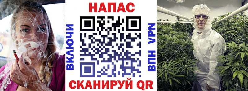 Бошки Шишки ГИДРОПОН  Сасово 